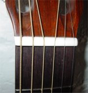 0021_nut.jpg (8724 bytes)